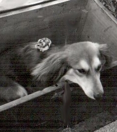 Vořda a Margo